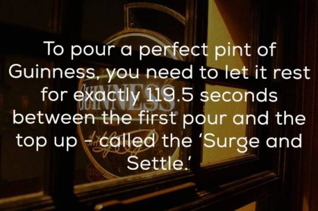 Beer Facts (24 pics)