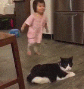 Acid Gifdump, July 2 (25 gifs)