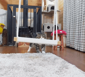 Acid Gifdump, July 2 (25 gifs)