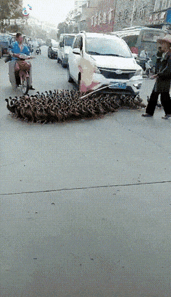 Acid Gifdump, July 2 (25 gifs)