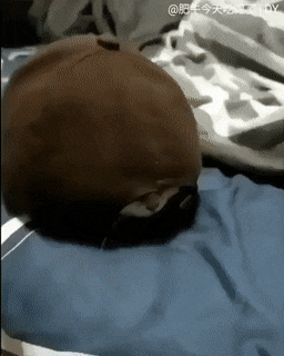 Acid Gifdump, July 2 (25 gifs)