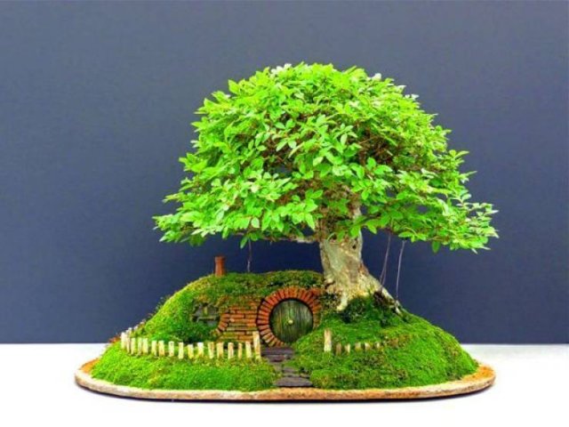 Lord Of The Rings Pictures (35 pics)