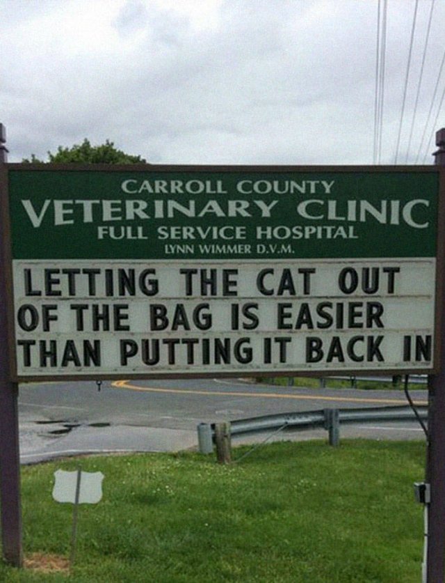 Cat Jokes By Vet Clinics (30 pics)