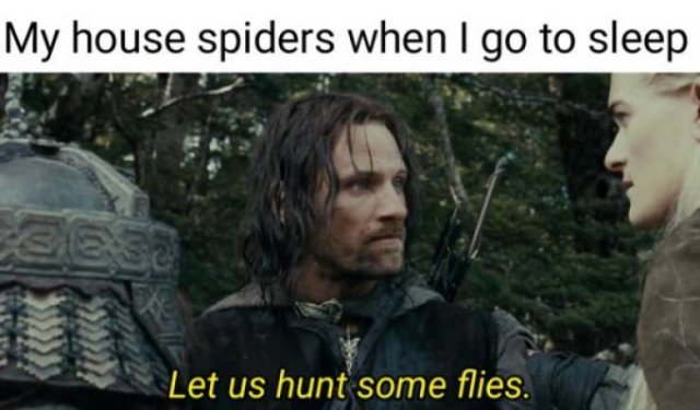 Lord Of The Rings Pictures (35 pics)
