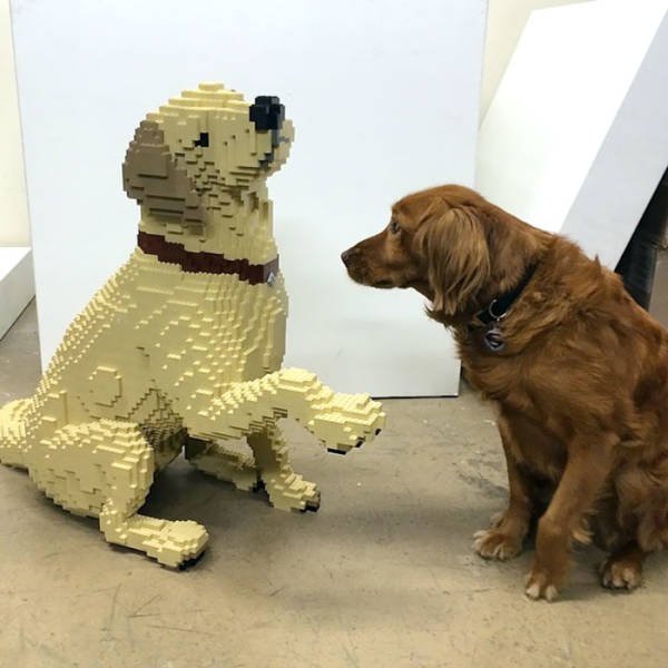 Great LEGO Creations (40 pics) Great LEGO Creations (40 pics)