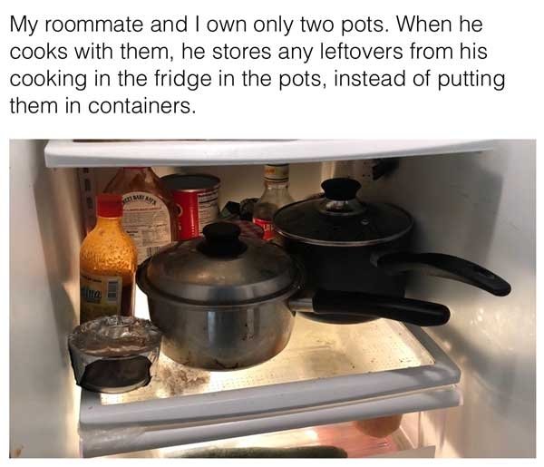 Living With Roommates Is Difficult But Fun (28 pics)
