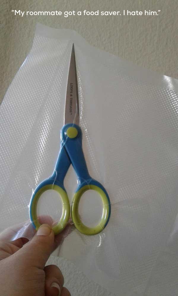 Living With Roommates Is Difficult But Fun (28 pics)