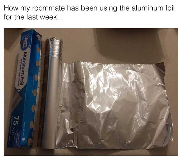Living With Roommates Is Difficult But Fun (28 pics)
