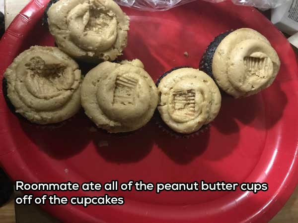 Living With Roommates Is Difficult But Fun (28 pics)