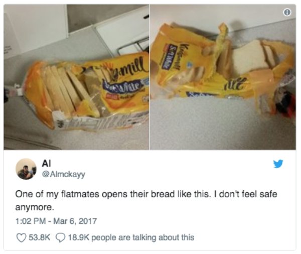 Living With Roommates Is Difficult But Fun (28 pics)