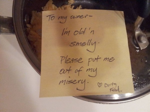 Living With Roommates Is Difficult But Fun (28 pics)