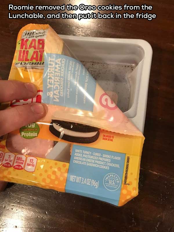 Living With Roommates Is Difficult But Fun (28 pics)