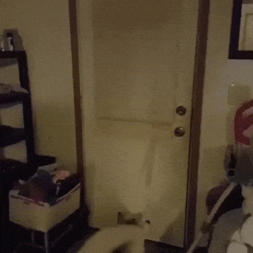 Acid Gifdump, July 3 (25 gifs)
