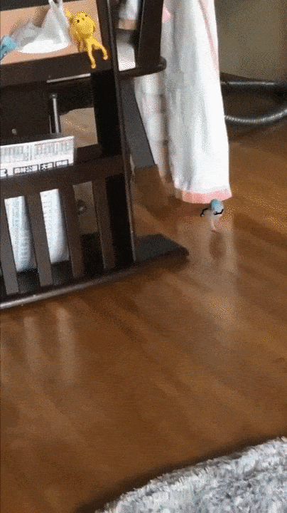 Acid Gifdump, July 3 (25 gifs)