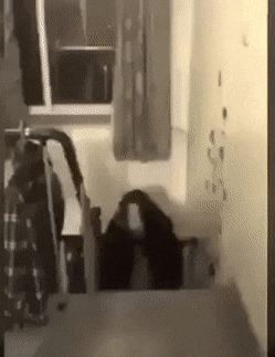 Acid Gifdump, July 3 (25 gifs)