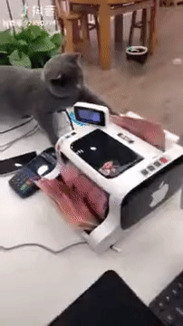 Acid Gifdump, July 3 (25 gifs)