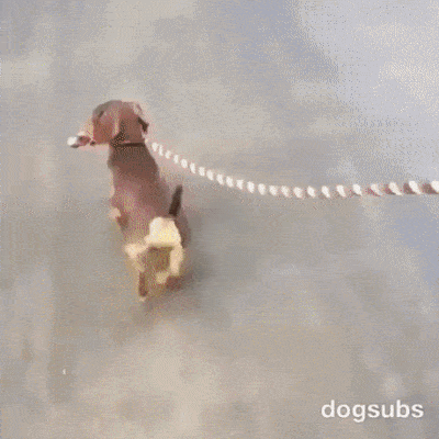 Acid Gifdump, July 3 (25 gifs)