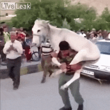 Acid Gifdump, July 3 (25 gifs)
