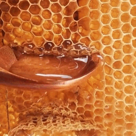 Acid Gifdump, July 3 (25 gifs)