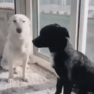 Acid Gifdump, July 3 (25 gifs)