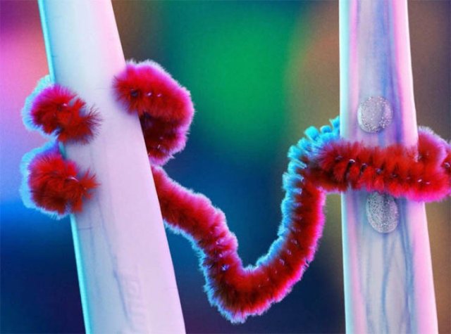 “Toy Story 4” Is Very Detailed (29 pics)