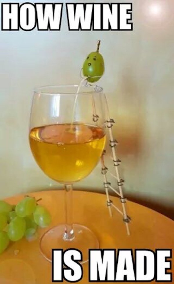 Pictures For Wine Lovers (38 pics)