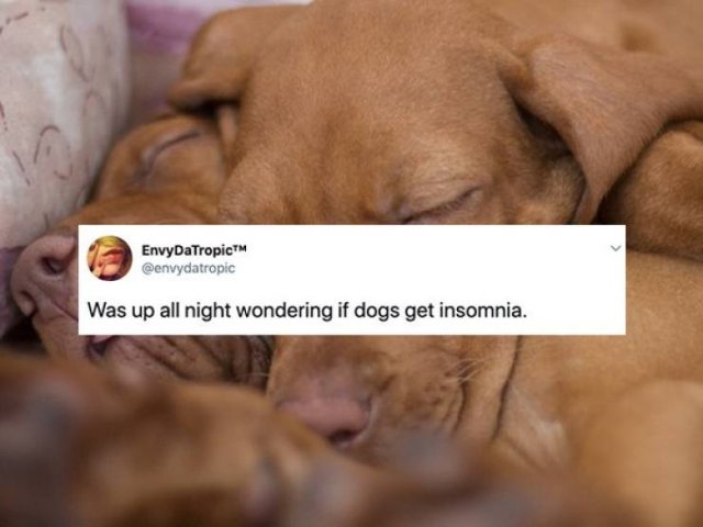 You Definitely Need To Sleep More (24 pics)
