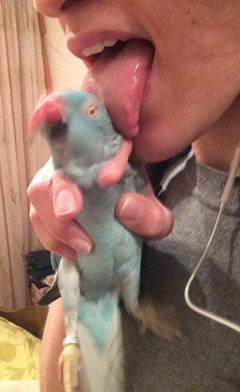 Acid Picdump. Part 2 (95 pics)