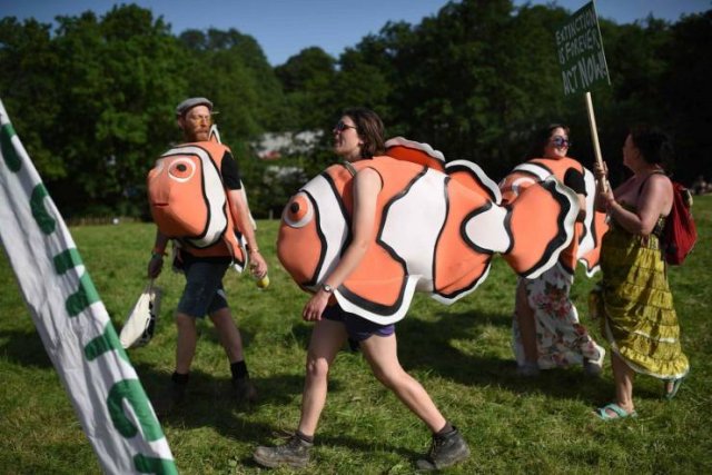 Acid Picdump. Part 2 (95 pics)