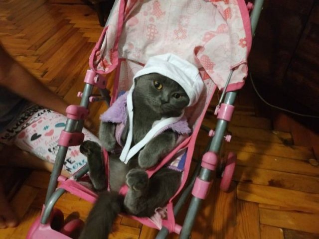 Acid Picdump. Part 2 (95 pics)