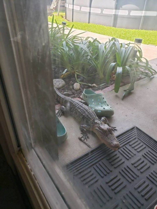 Acid Picdump. Part 2 (95 pics)
