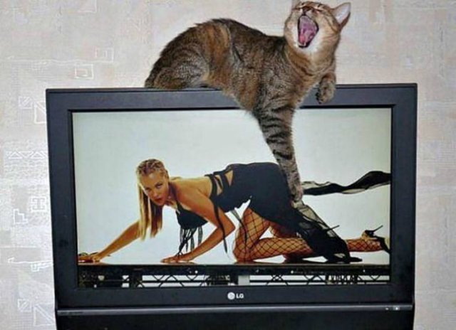 Acid Picdump. Part 2 (95 pics)