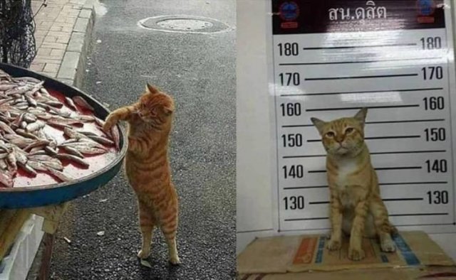 Acid Picdump. Part 2 (95 pics)