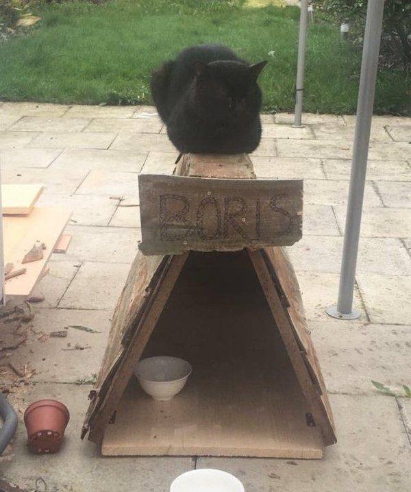 Acid Picdump. Part 2 (95 pics)