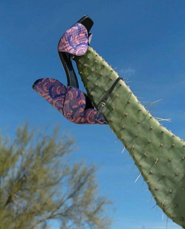 Acid Picdump. Part 2 (95 pics)