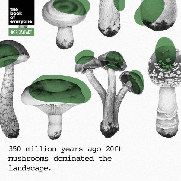Interesting Facts (40 pics)