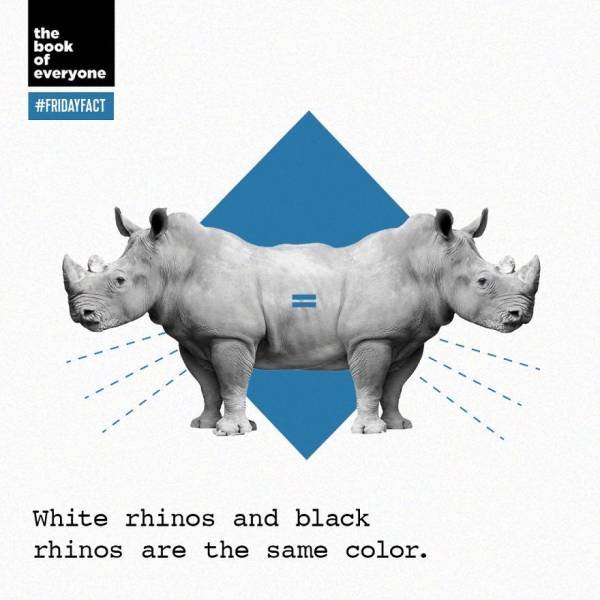 Interesting Facts (40 pics)