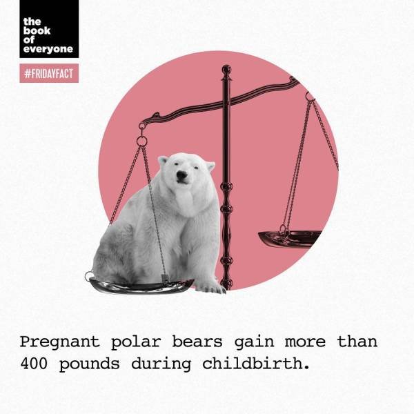 Interesting Facts (40 pics)