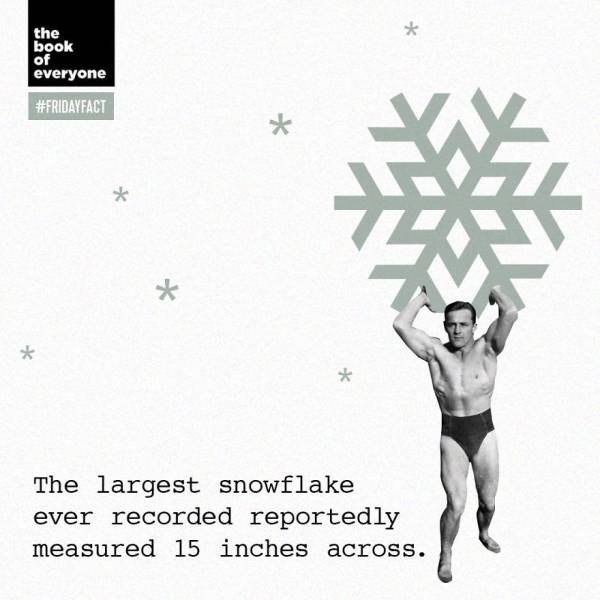 Interesting Facts (40 pics)