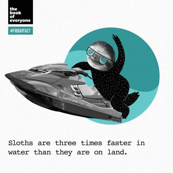 Interesting Facts (40 pics)