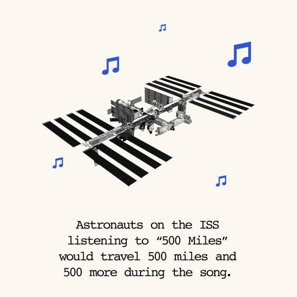 Interesting Facts (40 pics)