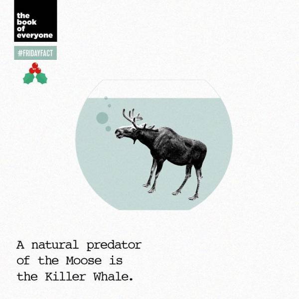 Interesting Facts (40 pics)