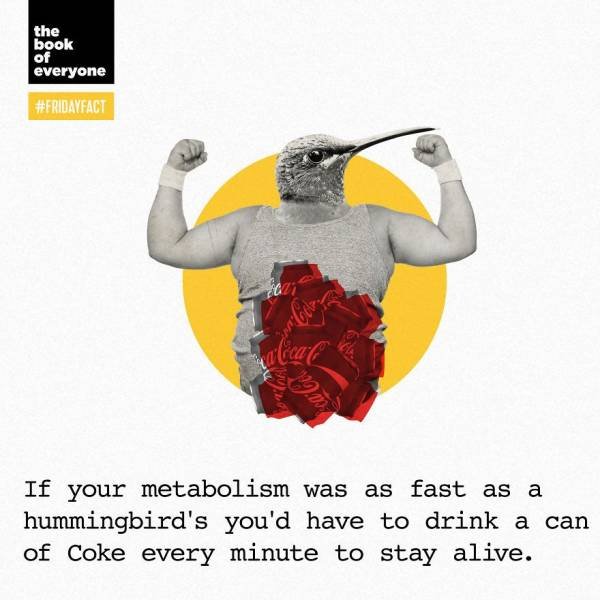 Interesting Facts (40 pics)