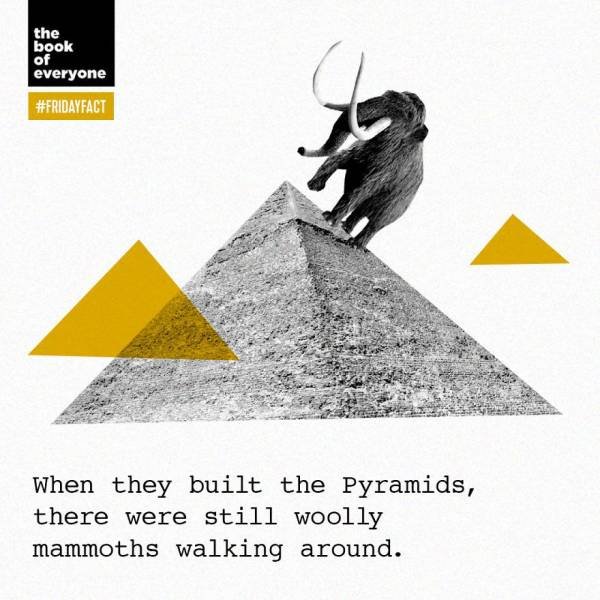 Interesting Facts (40 pics)