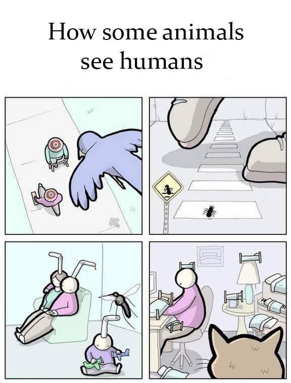 Acid Picdump. Part 1 (102 pics)