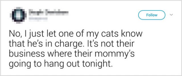 What People Tell Their Cats Before Leaving Home (22 pics)