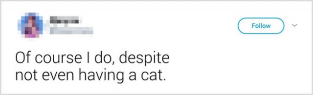 What People Tell Their Cats Before Leaving Home (22 pics)