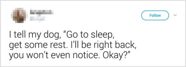 What People Tell Their Cats Before Leaving Home (22 pics)