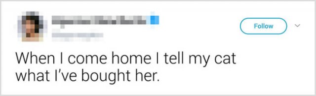 What People Tell Their Cats Before Leaving Home (22 pics)