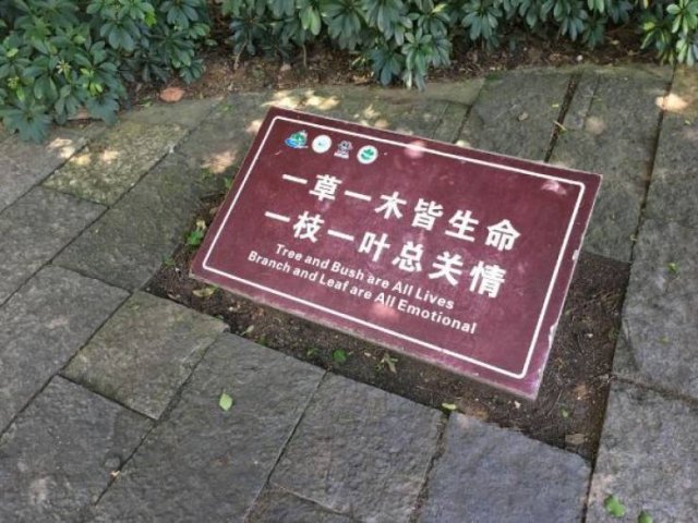 Hilarious Engrish Fails (25 pics)